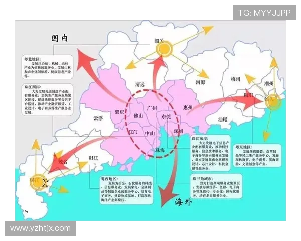 广州极限运动队的中路突破与城市运动文化的崛起探讨