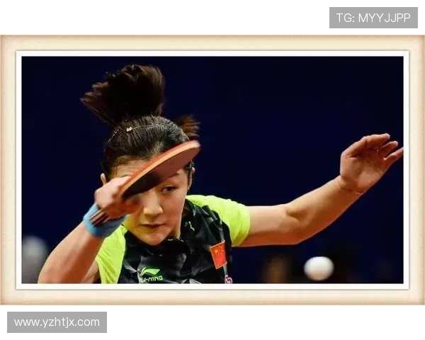 广州乒乓球队阵地战打法深度分析与战术解读 广州乒乓球队阵地战打法深度分析与战术解读