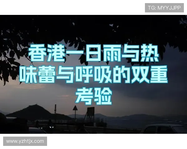 广州篮球队选拔赛点评展现实力与潜力的双重考验