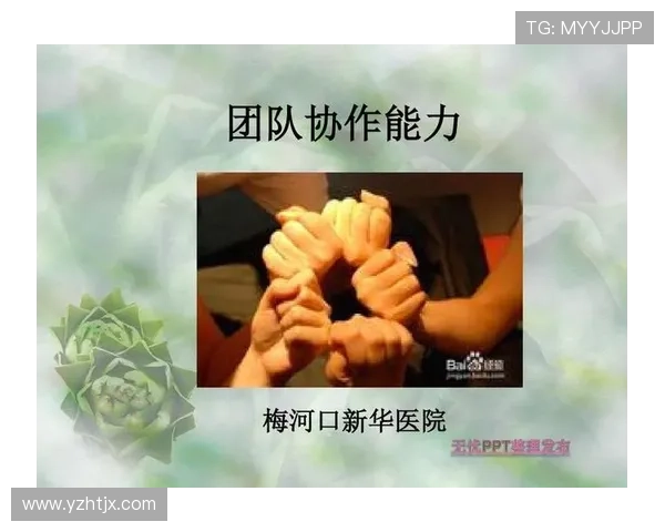 广州飞盘队配合表现数据分析揭示团队协作与战术执行的关键因素