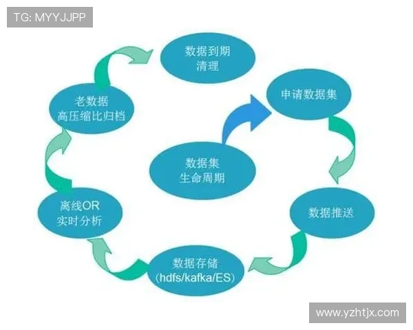成都攀岩队技术表现数据分析与训练策略探讨